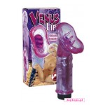 Masturbator waginalny Venus Lips.